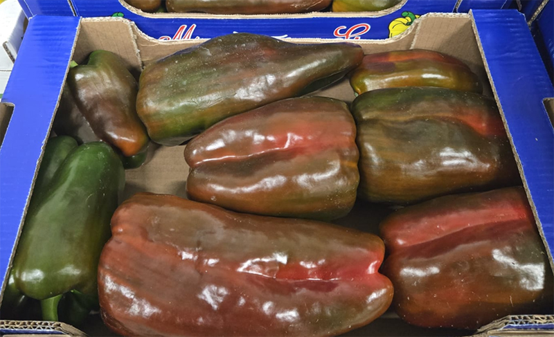 Peperoni - Sicilia - 3,80 euro al chilogrammo